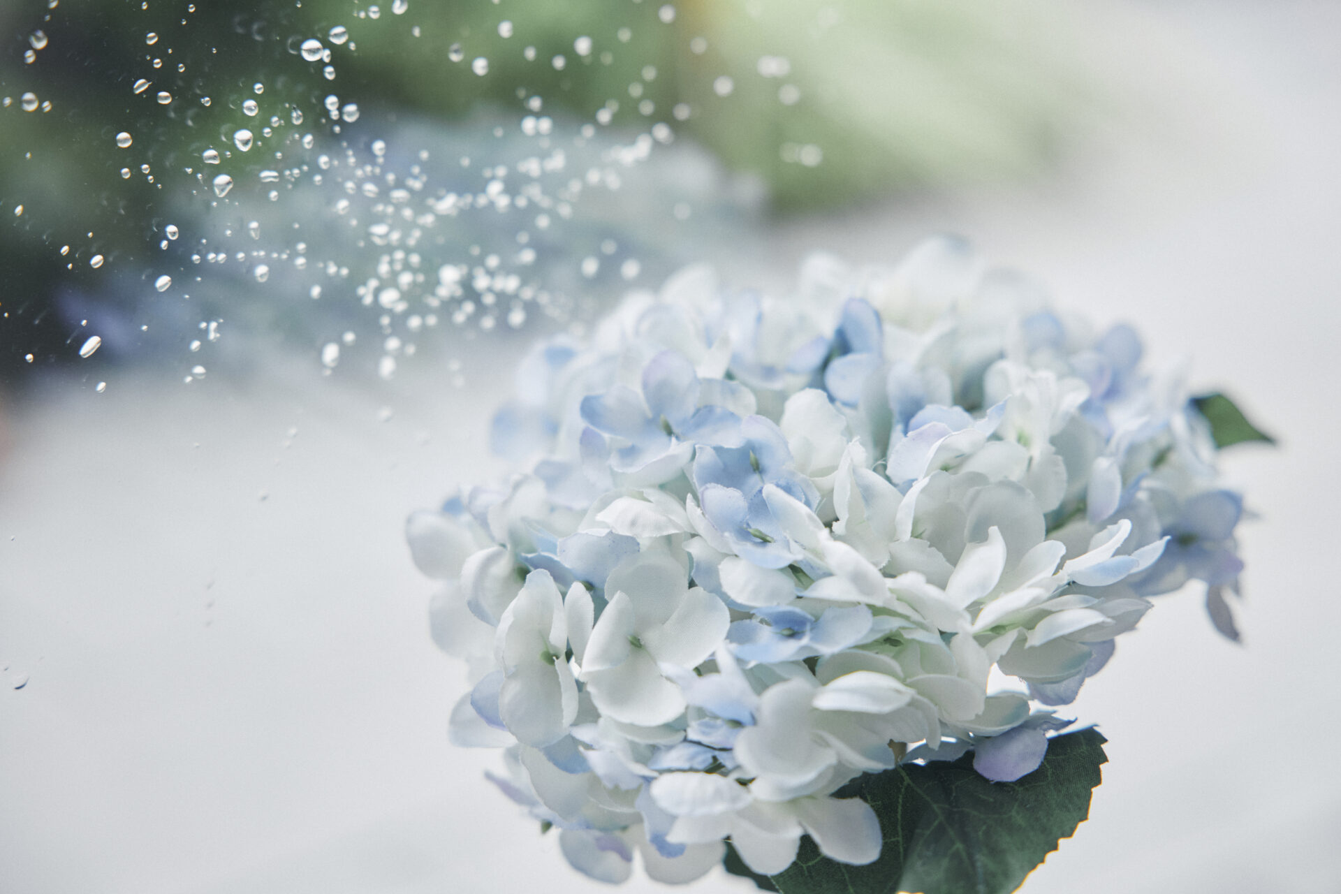【梅雨の肌悩み解決】べたつき×かさつきの同時対策。「矛盾肌」を整える方法
